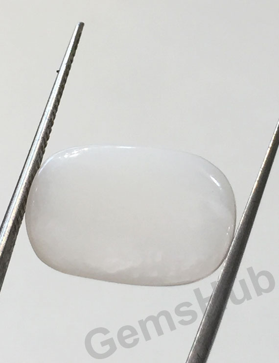 7.92 ct Natural Certified  White Coral/सफ़ेद मूंगा